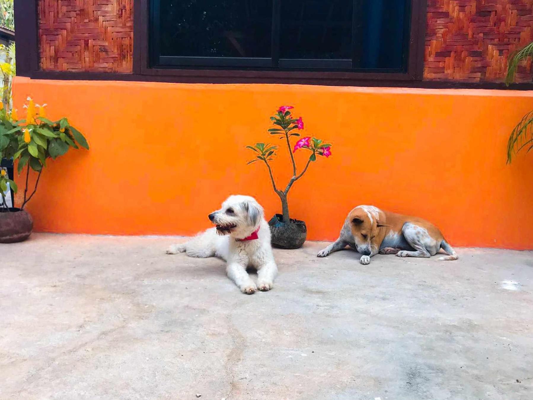 Don Leo'S Bnb Esperanza Luaran gambar
